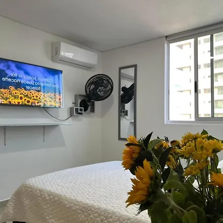 Pensión Dúplex Amoblado Por Habitación *